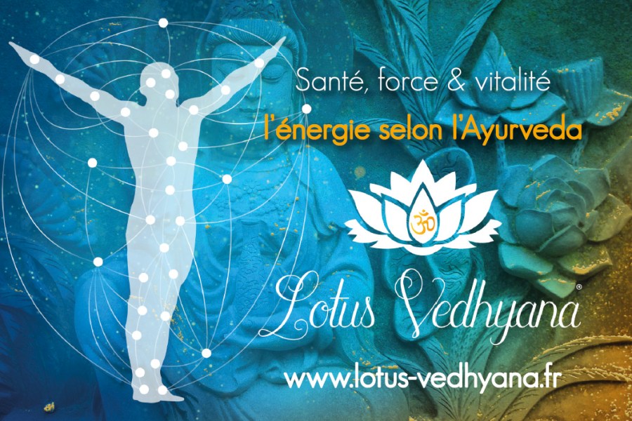 Réalisation de documents pour Lotus Vedhyana par l'Agence Cré Home.