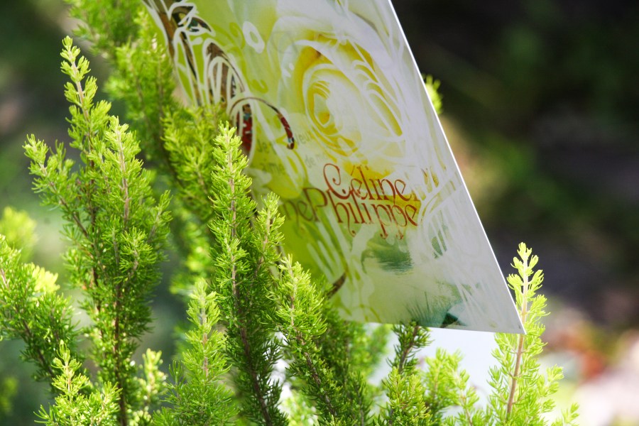 Faire-part de mariage de Céline & Philippe par l'Agence Cré Home.