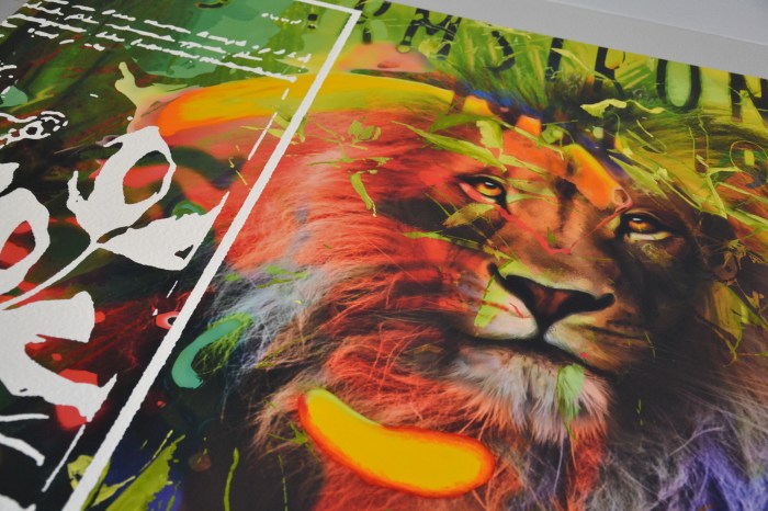 Toiles des 7 continents "La Pangée" par l'Agence Cré Home.