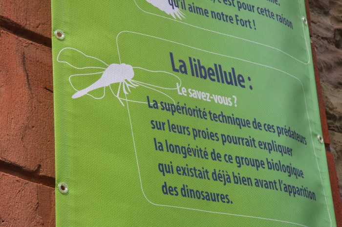 Création et composition de la communication événementiel de l'ouverture du Parc Fort Kléber à Wolfisheim par l'Agence Cré Home.